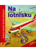 Na lotnisku