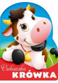 Ciekawska krówka
