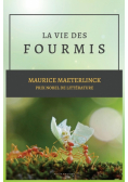 La vie des Fourmis