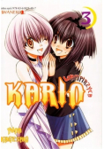 Wampirzyca Karin Tom 3