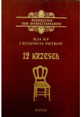 12 krzeseł Podręcznik dla hochsztaplerów