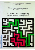 Holdingi przemysłowe Podstawy tworzenia i funkcjonowania