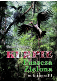 Kurpie Puszcza Zielona w fotografii