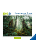 Puzzle 1000 Lasy