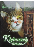Kłębuszek snu