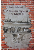 Z dziejów cegielni w Krępnej