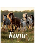 Kalendarz 2025 wieloplanszowy Konie