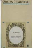 Śladem wędrownika