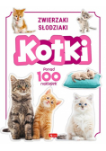Kotki