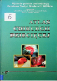 Atlas chirurgii dziecięcej