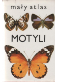 Mały Atlas motyli