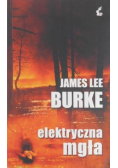 Elektryczna mgła
