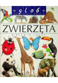 Zwierzęta