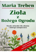 Zioła z Bożego ogrodu