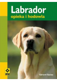 Labrador Opieka i hodowla