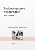 Budowa systemu wynagrodzeń Teoria i praktyka