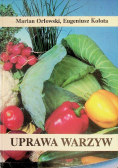 Uprawa warzyw
