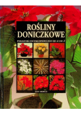 Rośliny doniczkowe