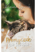 Promyczek na święta