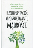 Trzech przyjaciół w poszukiwaniu mądrości
