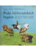 Ptaki biebrzańskich bagien