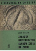Zagadka najstarszych śladów życia na ziemi