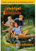 Detektywi z Dalslandu Bandyci na odludziu