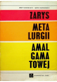 Zarys metalurgii amalgamatowej