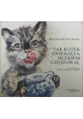 Jak kotek zwierzęta mlekiem częstował