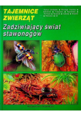 Zadziwiający świat stawonogów