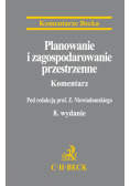 Planowanie i zagospodarowanie przestrzenne, Komentarz