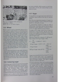 Technology Brewing and Malting