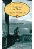 Tender is the night