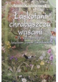 Łaskotani chrabąszcza wąsami