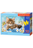 Puzzle Kittens in a Basket 70