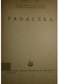 Padaczka