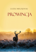 Prowincja