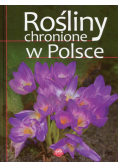 Rośliny chronione w Polsce