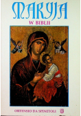 Maryja w Biblii