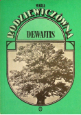 Rodziewiczówna dewajtis