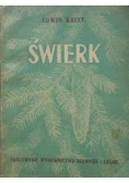 Świerk