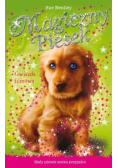 Gwiazda filmowa Magiczny piesek