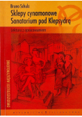 Sklepy cynamonowe Sanatorium pod Klepsydrą
