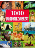 1000 młodych zwierząt