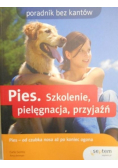 Pies Szkolenie pielęgnacja przyjaźń