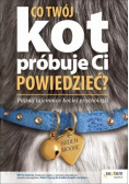 Co twój kot próbuje ci powiedzieć