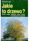 Jakie to drzewo