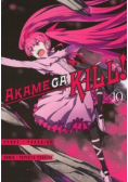 Akame ga Kill Tom 10