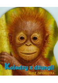 Koledzy z dżungli