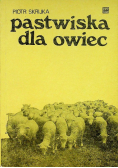 Pastwiska dla owiec